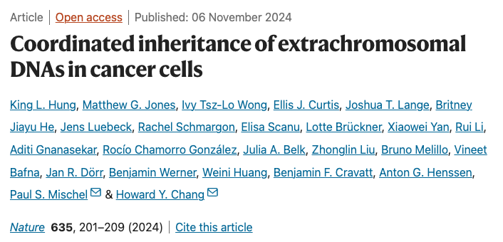 Steven Artandi: Discovery of Persistent ecDNA Transcription During Cell Division